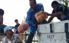 ВПП ООН И БАПОР планируют запустить специальную чрезвычайную программу продовольственной помощи для помощи всем семьям, пострадавшим в Газе
