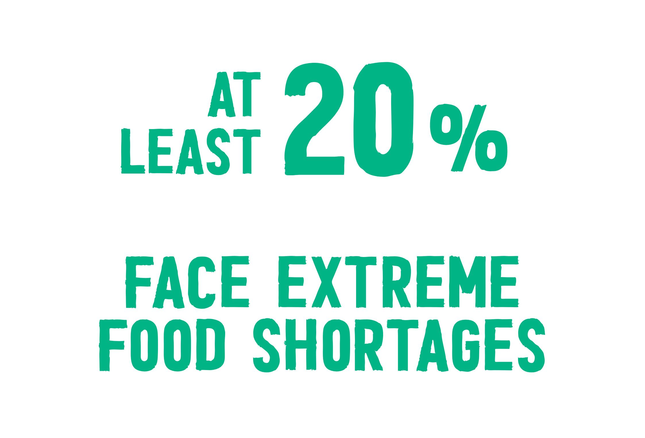 По крайней мере, 20% домохозяйств сталкиваются с крайней нехваткой продовольствия