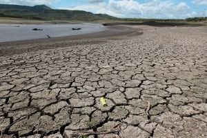 Ситуация с голодом усугубляется в Центральной Америке и Гаити из-за эффекта Эль Ниньо и затянувшейся засухи
