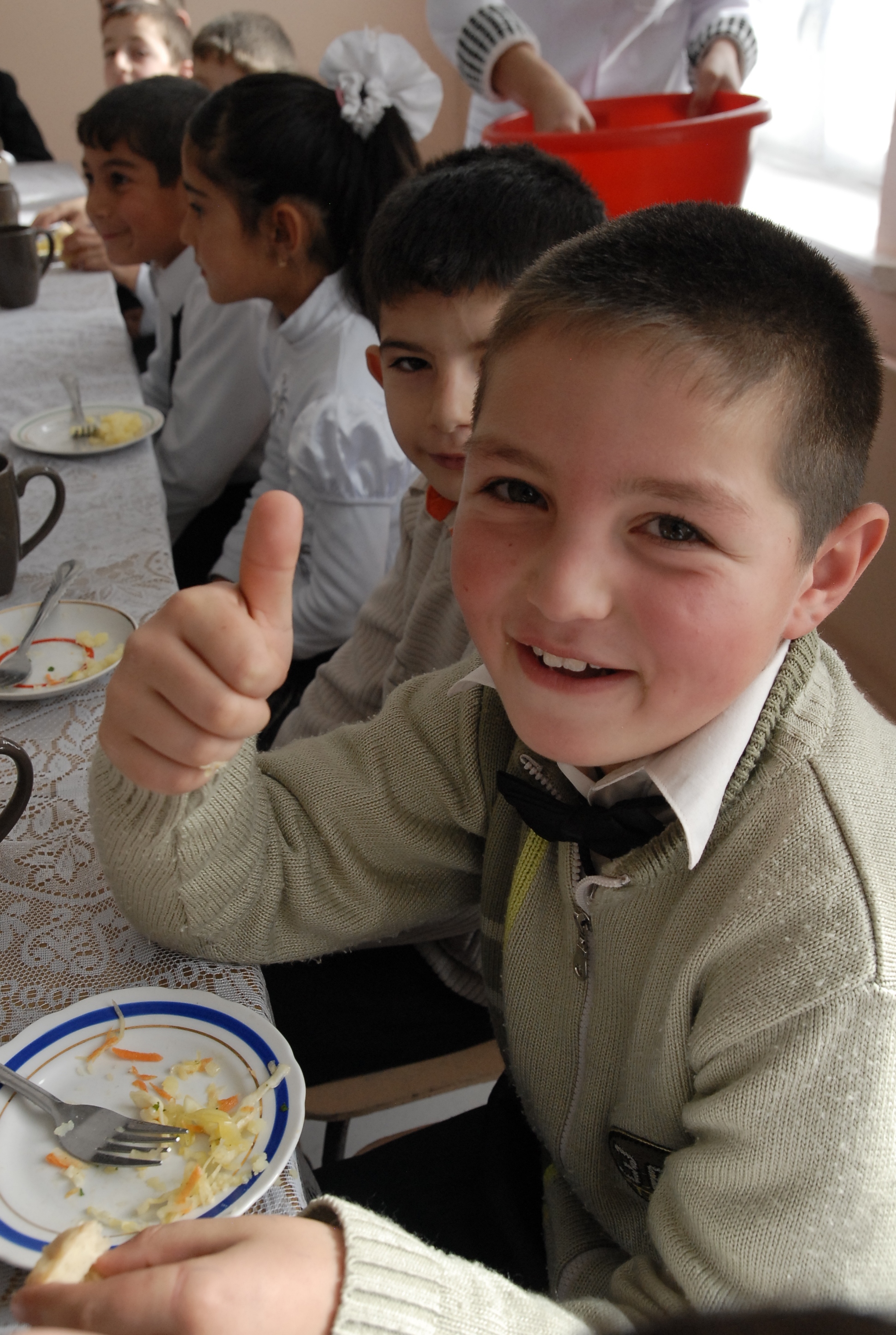 ВПП и Правительство Армении приступают к реализации программы школьного питания, финансируемой Россией