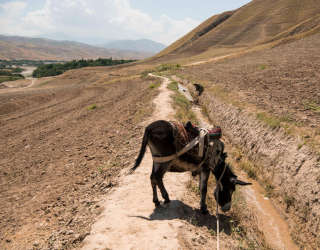 Пейзаж с «Каналом единства» в районе Калафган, провинция Тахар в Афганистане. Фото: ВПП ООН/Arete/Эндрю Килти