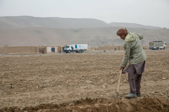 В мультимедийные материалы ВПП ООН говорится о миллионах людей, которым грозит голод в Афганистане с наступлением зимы