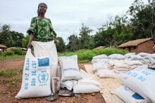 Агентства ООН предоставляют семена, инструменты и продовольствие, чтобы покончить с голодом в ЦАР