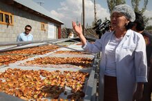Вклад ВПП ООН и Японии в расширение возможностей сельских женщин Кыргызстана