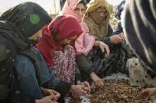 Крайне низкий уровень продовольственной безопасности в Афганистане – «Очень тревожная тенденция» по оценке агентств ООН