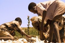 Искоренение голода: объединение социальной защиты и инвестиций, направленных на содействие бедным