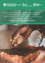 Мониторинг продовольственной безопасности и питания в поддержку осуществления Повестки дня в области устойчивого развития на период до 2030 года